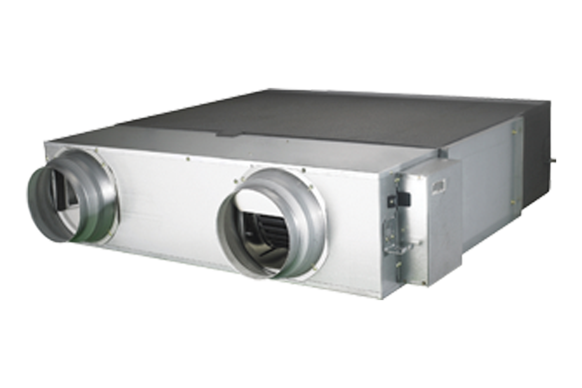 RHF100ETE 001 Dynamic Silver