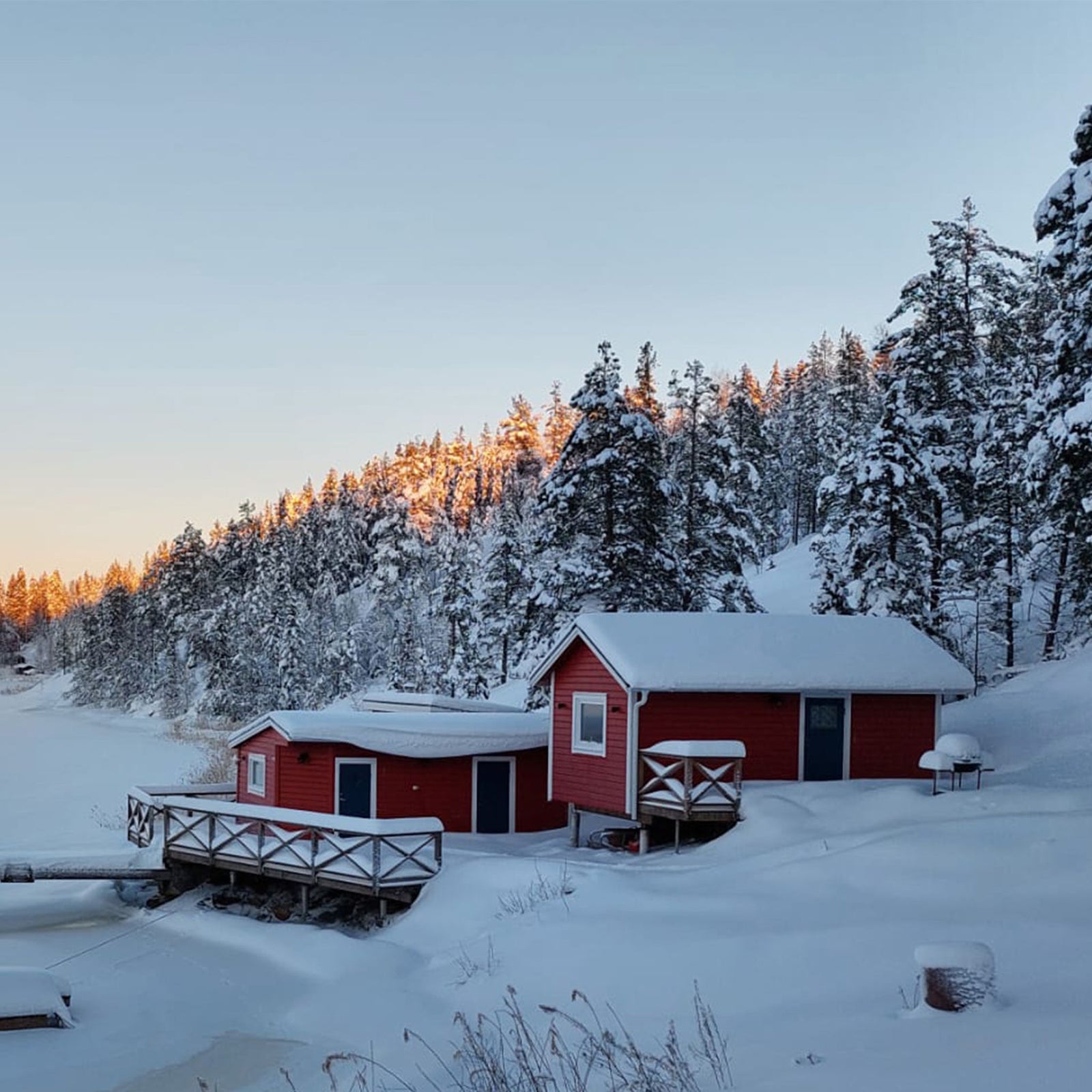 SummerHouse Reason 4