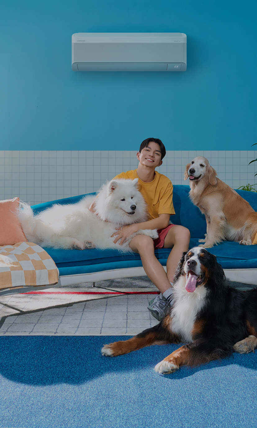 828x1376 4WindFree Cam