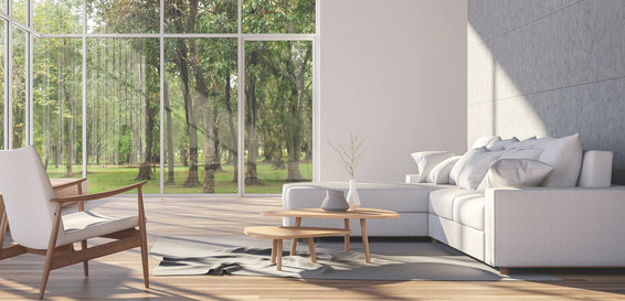 dt-white-livingroom-header.jpg