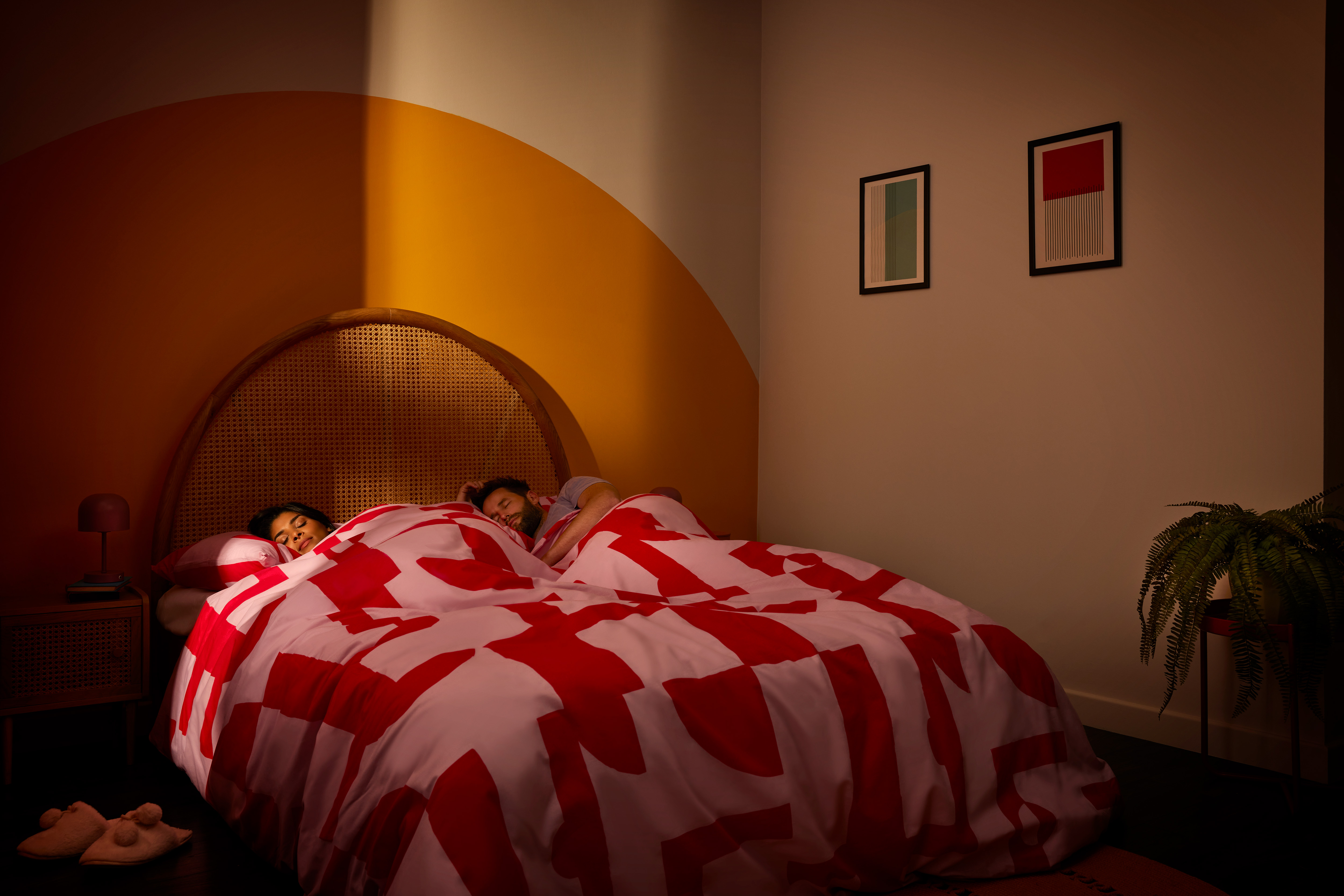 Samsung EU SEACE R290 11624