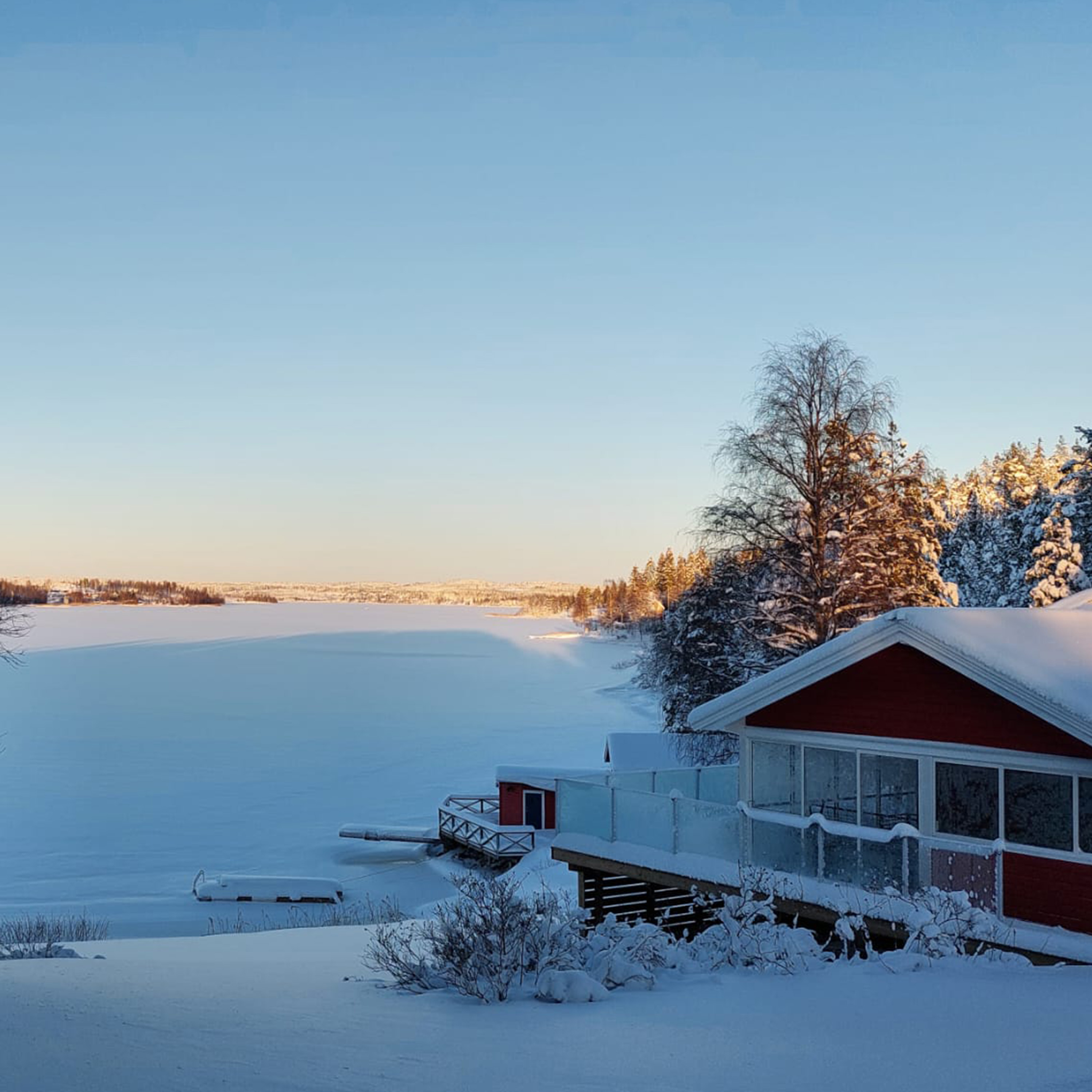 SummerHouse Reason 2